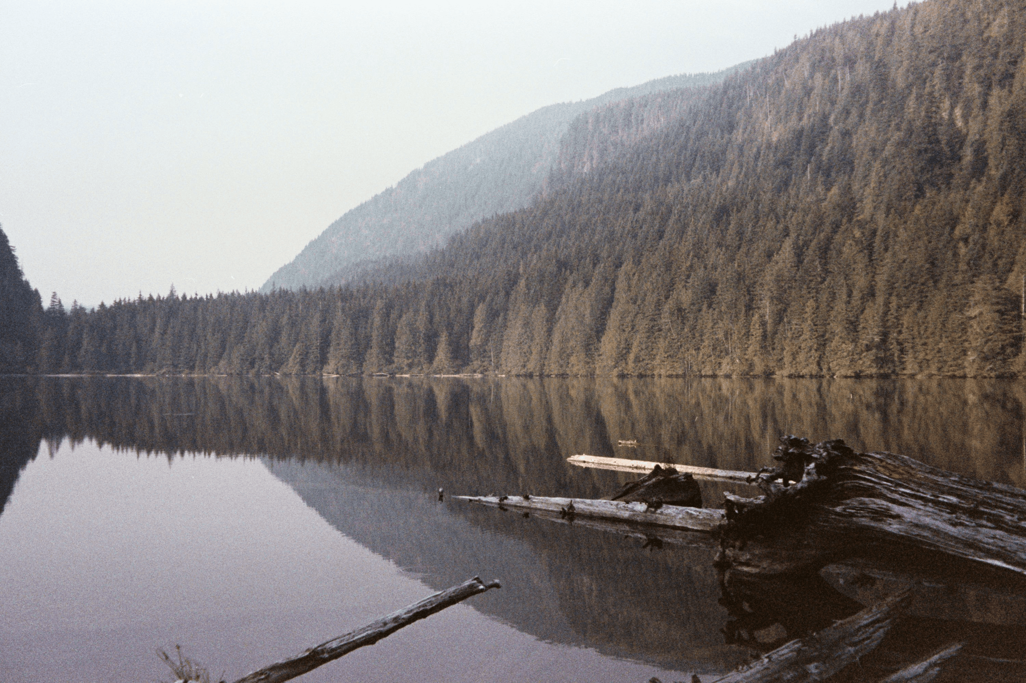 A tranquil lake with a mirrored reflection of dense forests and rolling hills under a misty sky, featuring fallen logs in the foreground