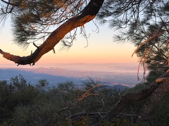A scenic view of a sunset over a mountain landscape, framed by a tree branch and surrounded by lush greenery. The sky is painted with soft hues of orange and pink, blending into the distant horizon