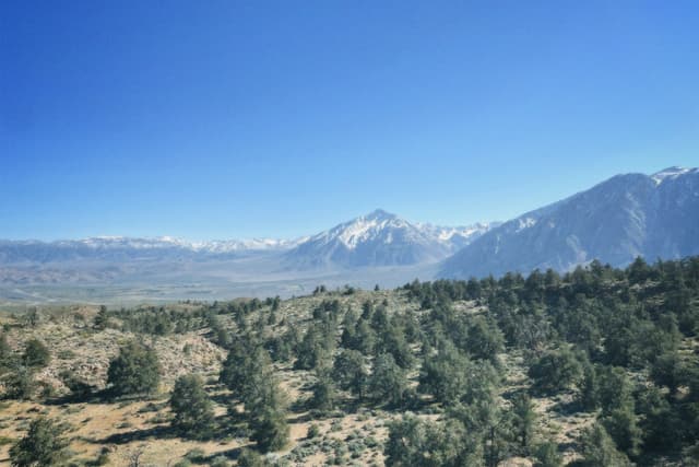 A mountainous landscape with snow-capped peaks in the distance, surrounded by a forested area under a clear blue sky
