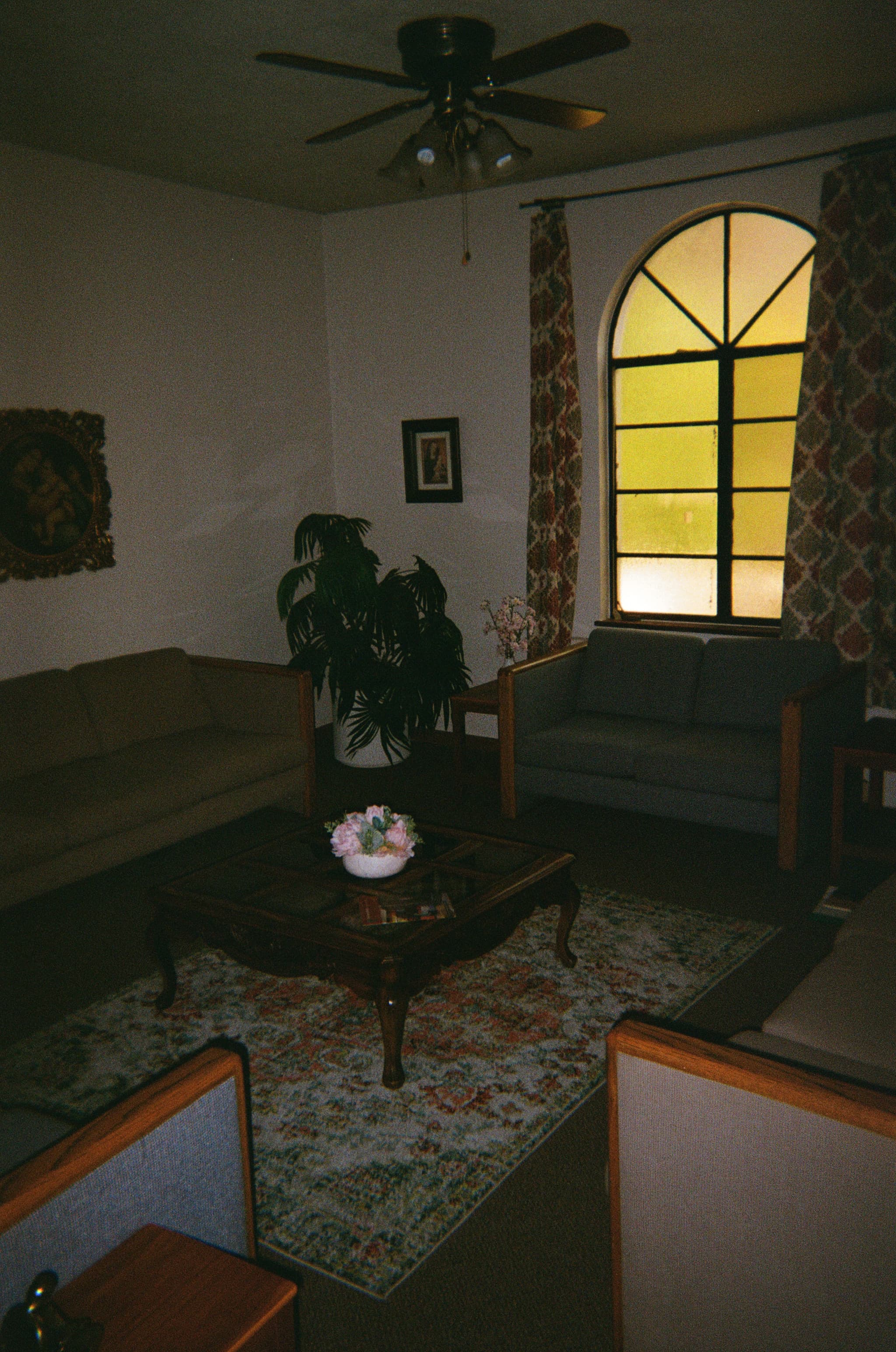 A cozy living room with two sofas, a wooden coffee table, a decorative rug, and a potted plant The room features a large arched window with patterned curtains and a ceiling fan