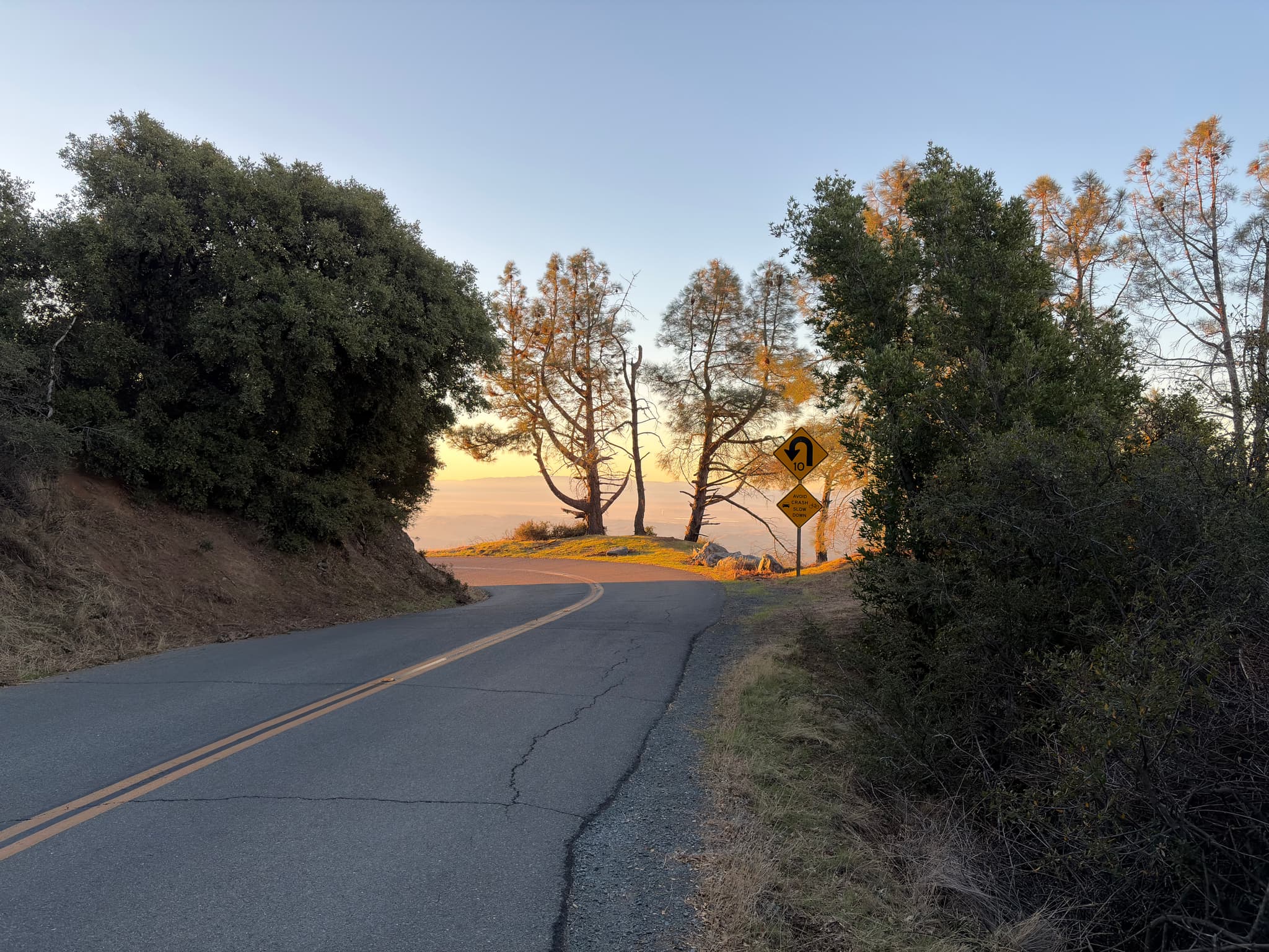 A winding road leads towards a viewpoint, framed by tall trees and overlooking a distant landscape under a clear blue sky