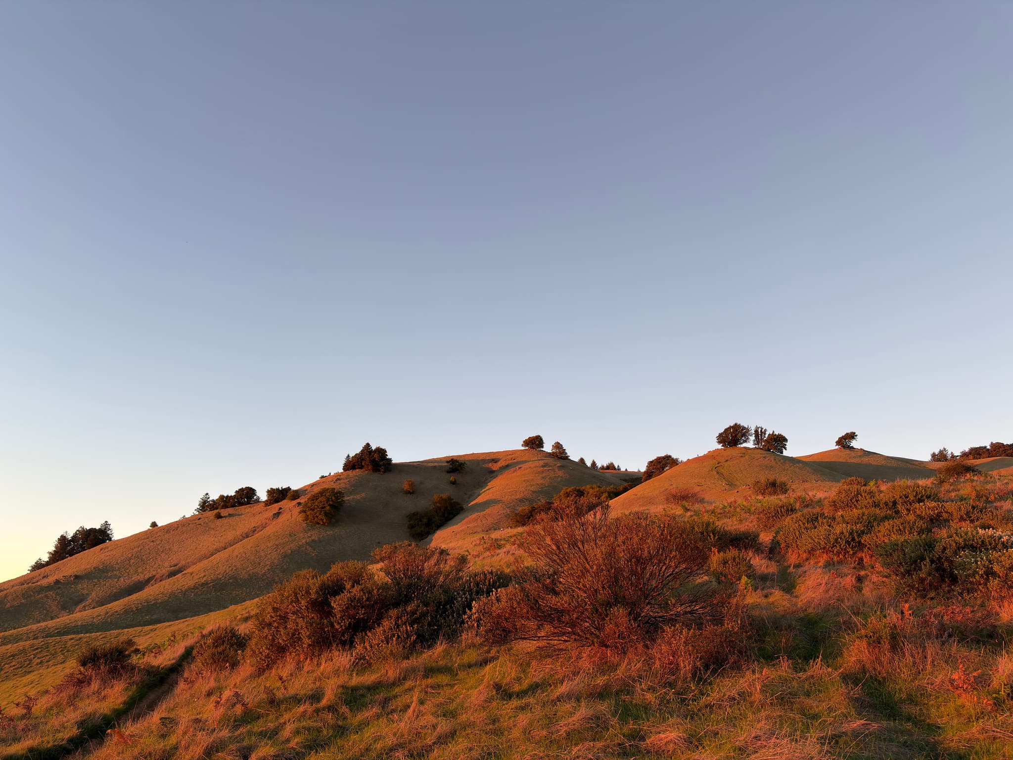 Sunlit rocky hillside with sparse shrubs under a clear blue sky at golden hour