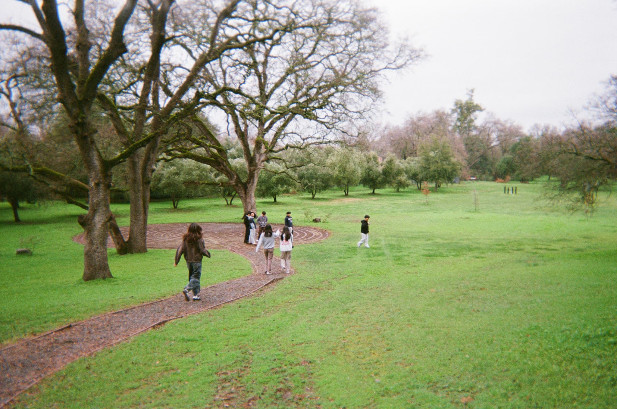 A group of people walking along a path in a lush, green park with large trees and an overcast sky
