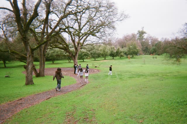 A group of people walking along a path in a lush, green park with large trees and an overcast sky
