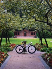 Bicycle parked on a brick walkway framed by flowerbeds and arching trees, with a red brick building in the background