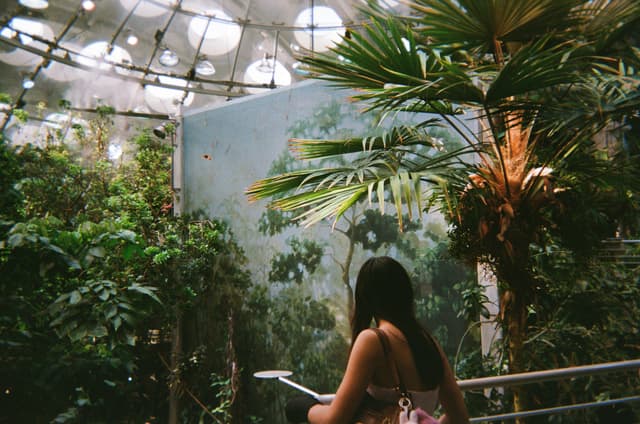 A person with long hair stands in a lush indoor garden, surrounded by tropical plants and trees, with a glass ceiling above allowing natural light to filter through