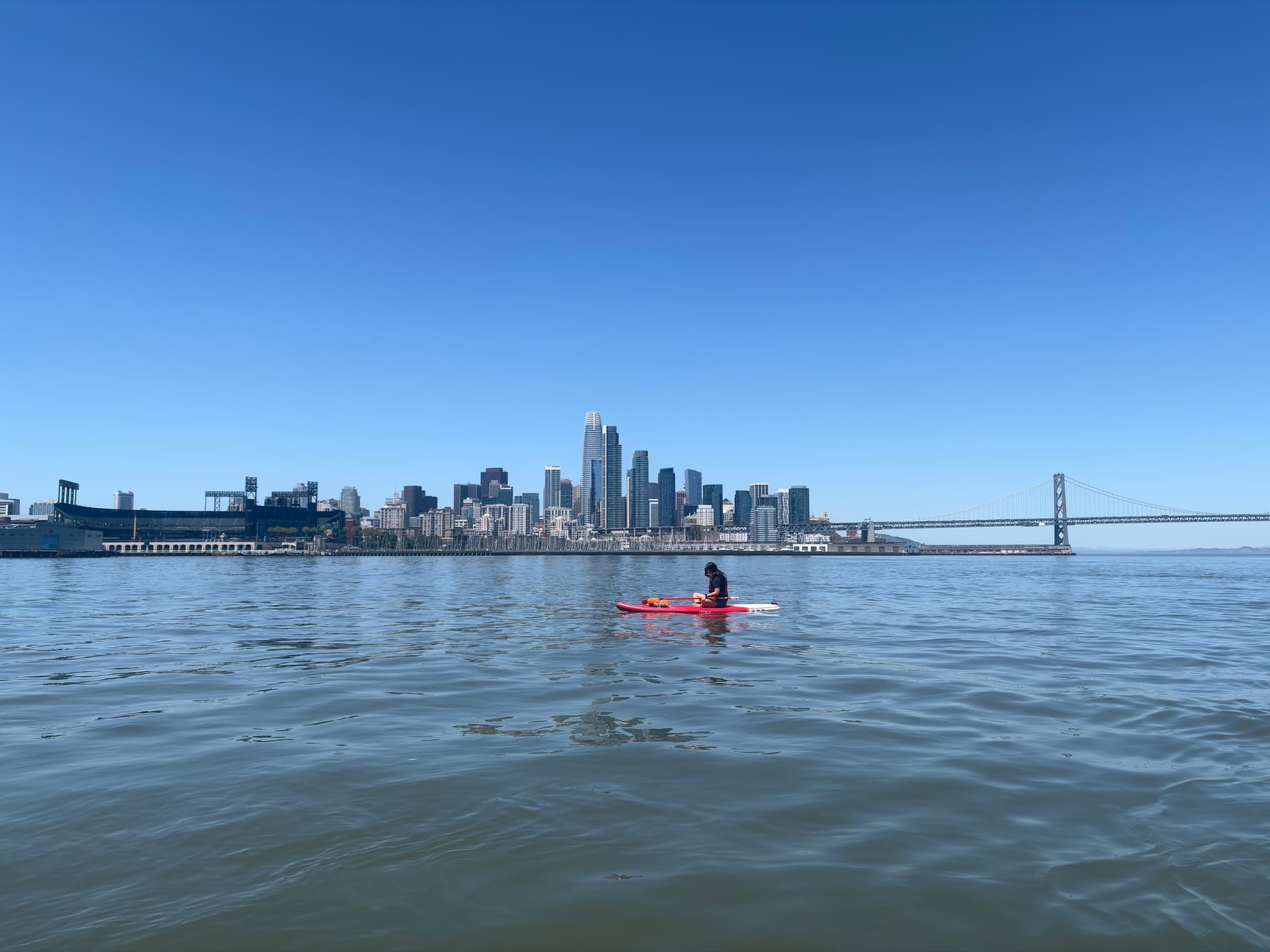 Person in a bright pink top swimming in calm water with the Manhattan skyline and a suspension bridge in the background under a clear blue sky