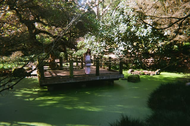 A person stands on a wooden platform surrounded by lush greenery and a pond covered in green algae, with sunlight filtering through the trees