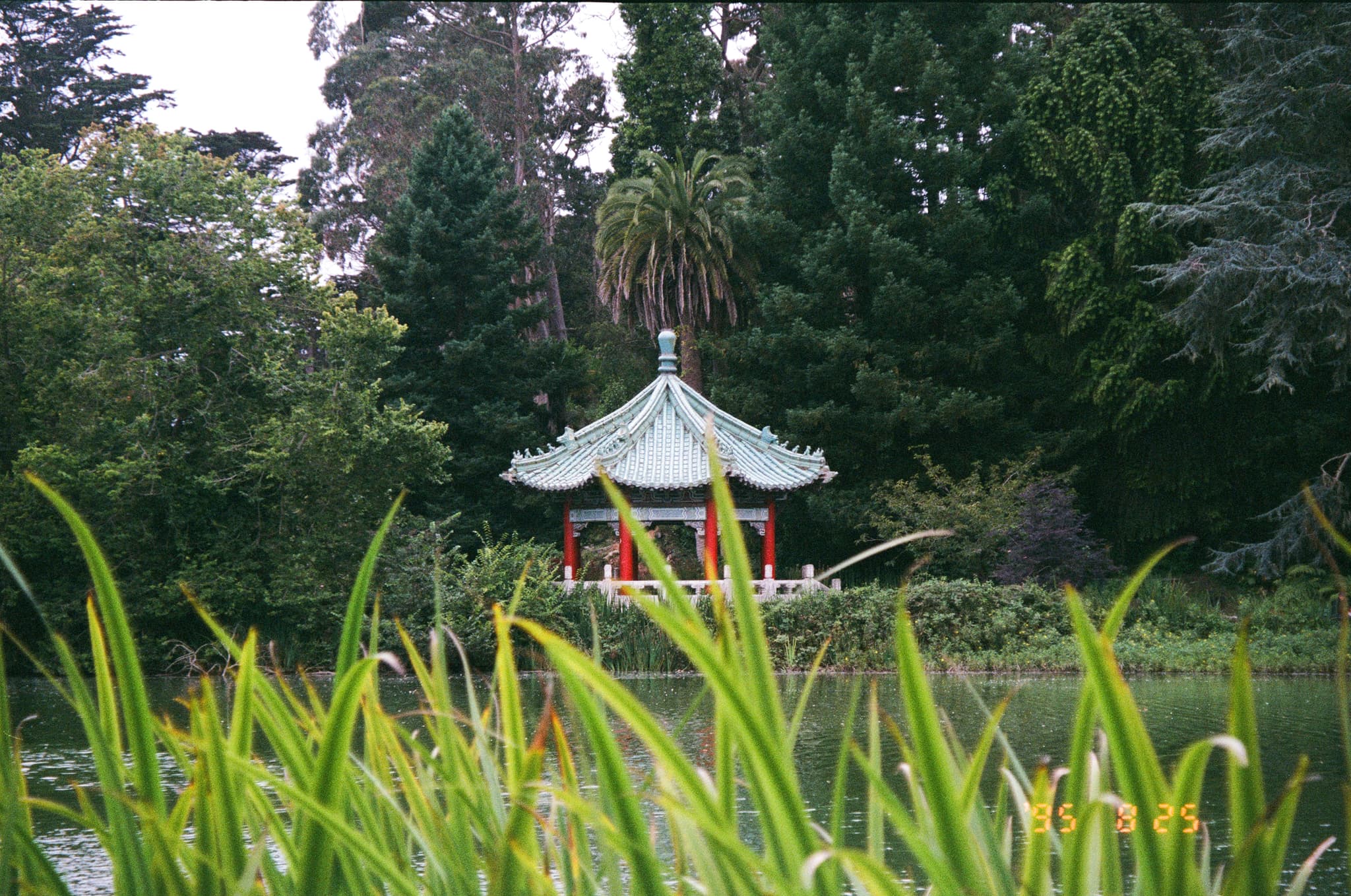 A traditional pagoda with a green roof surrounded by lush greenery and tall trees, viewed from across a body of water with reeds in the foreground
