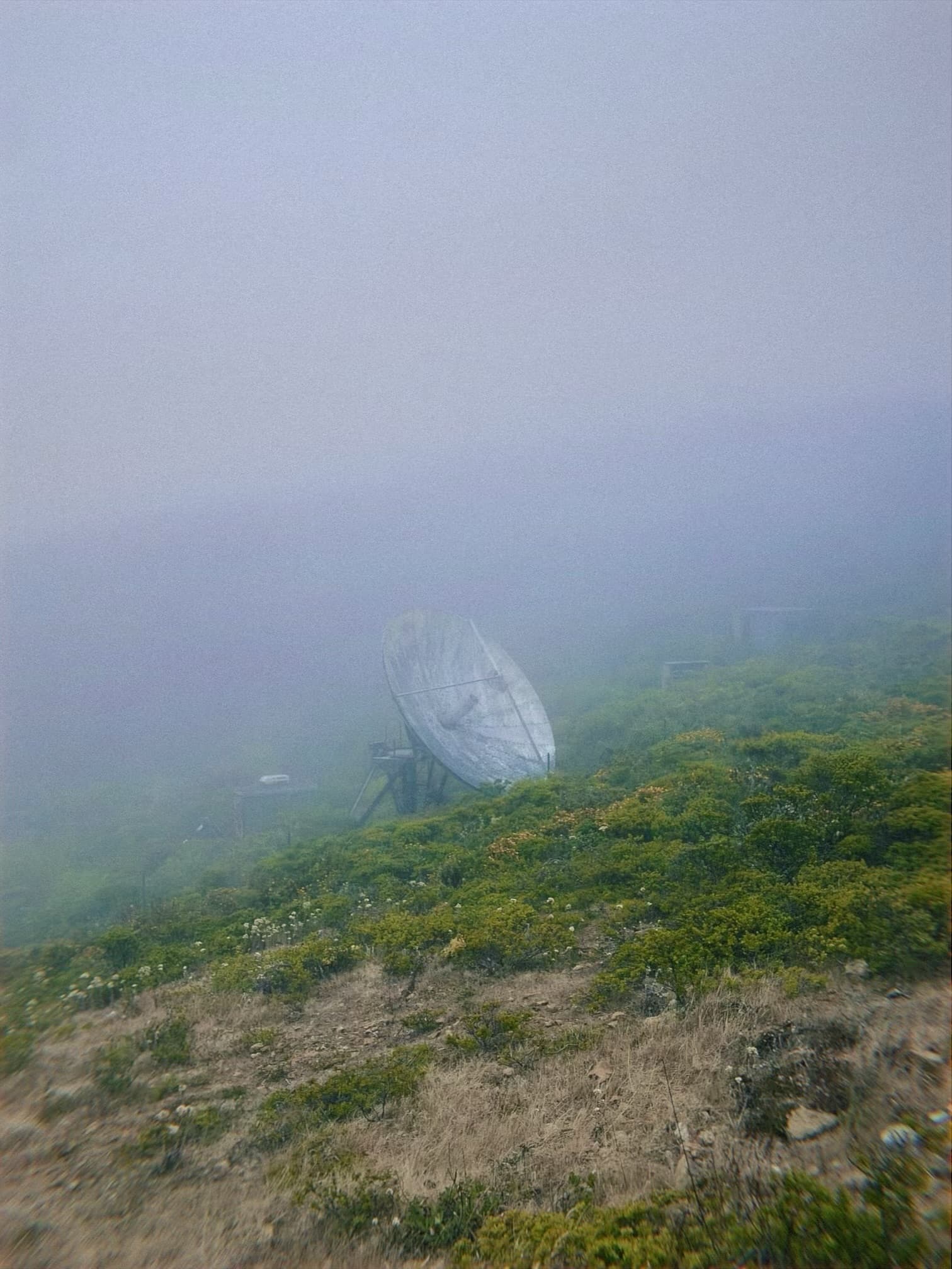 A satellite dish is situated on a foggy hillside covered with grass and low vegetation